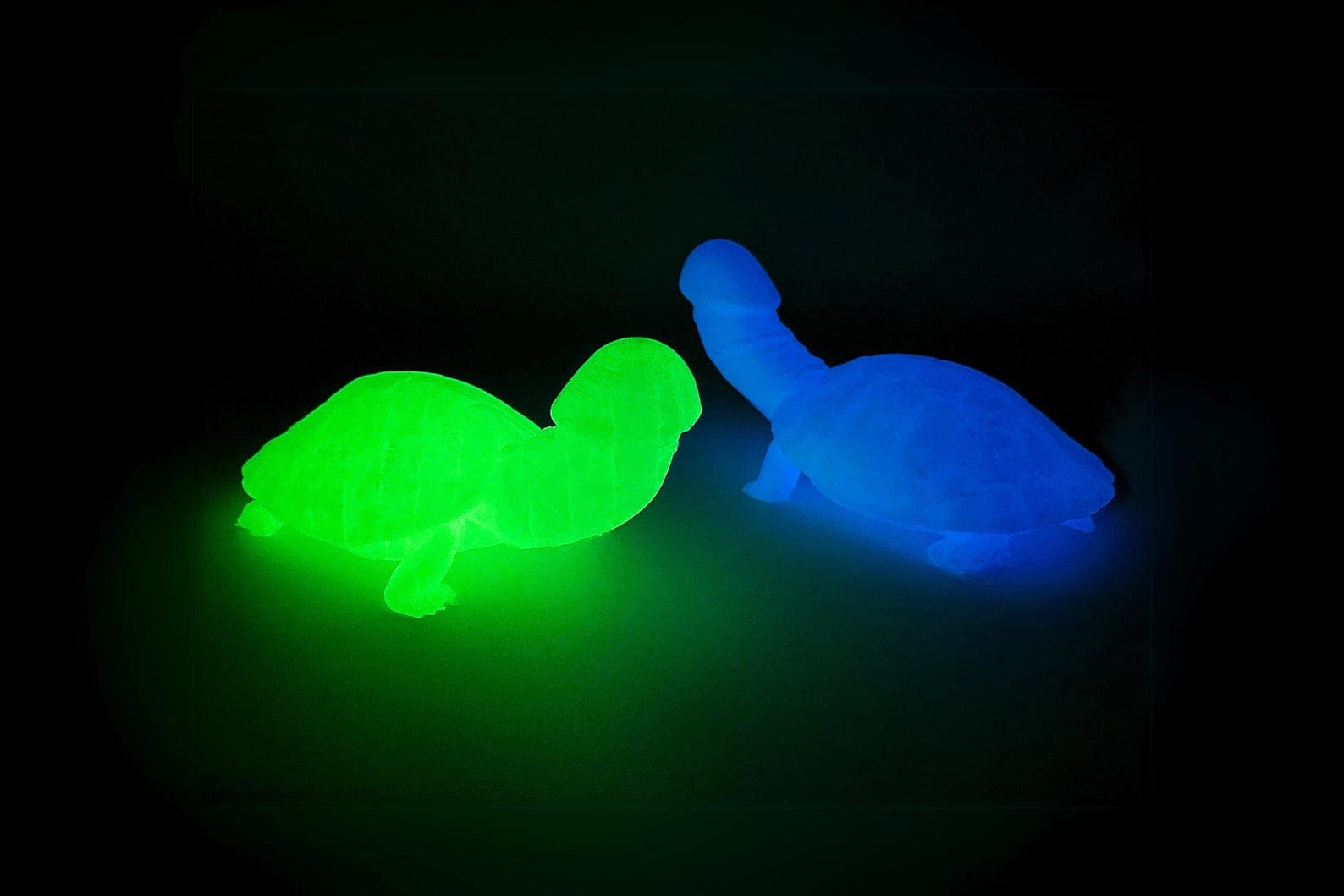 The Gloriously Inappropriate Glow-in-the-Dark Dickatortoise – For Every Awkward Moment