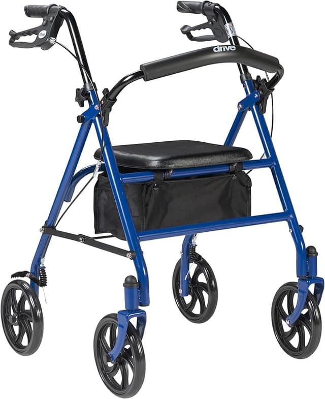 The Chariot of the Elderly: A Rollator Walker for ...