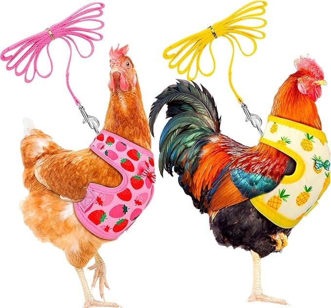 Poultry Pageantry Harness: For Chickens with Aspirations and Impeccable Style